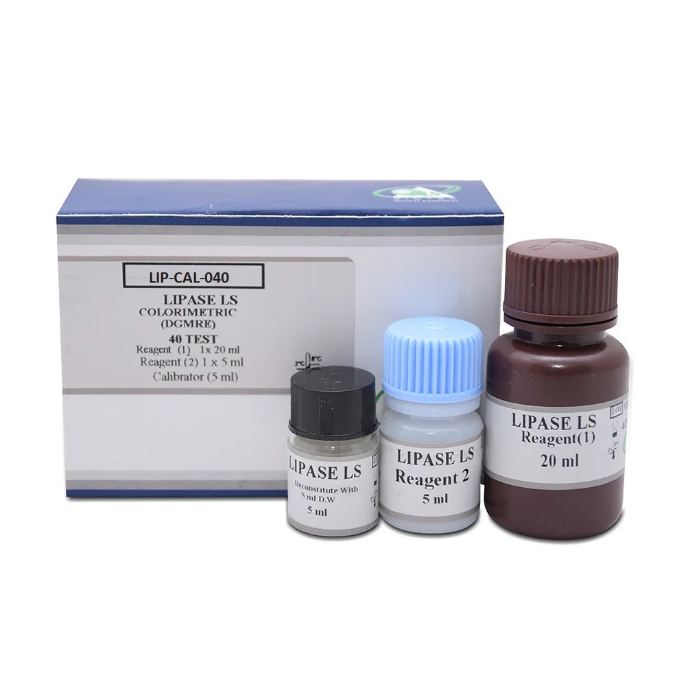 Lipase