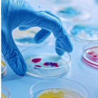NS BIOTEC MEDIA